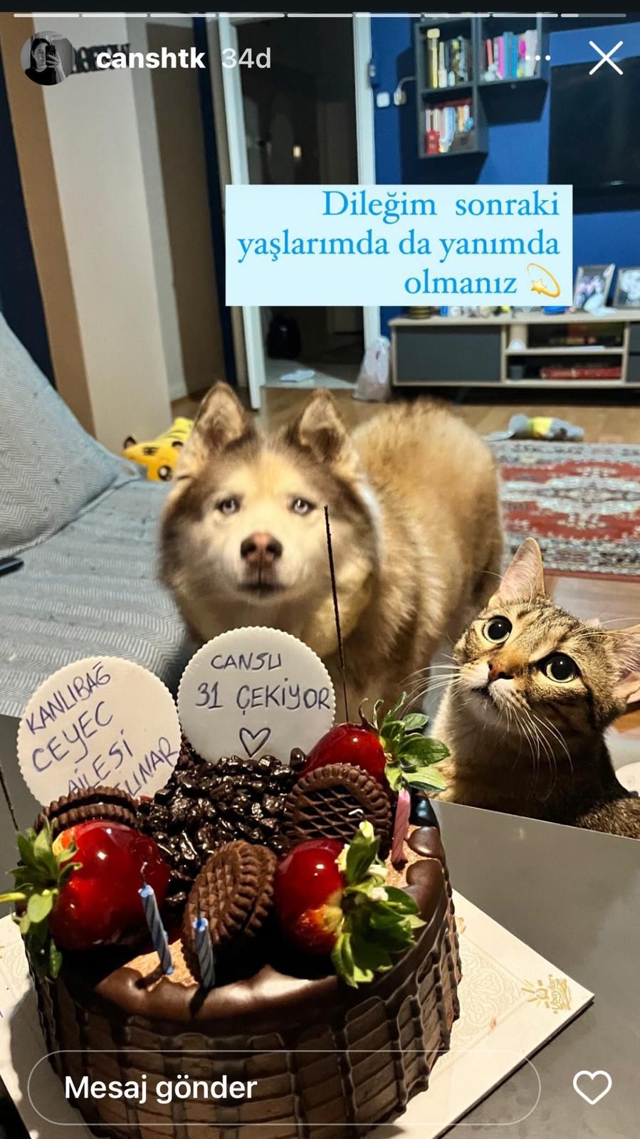 Kıvanç - yeni yuvasında